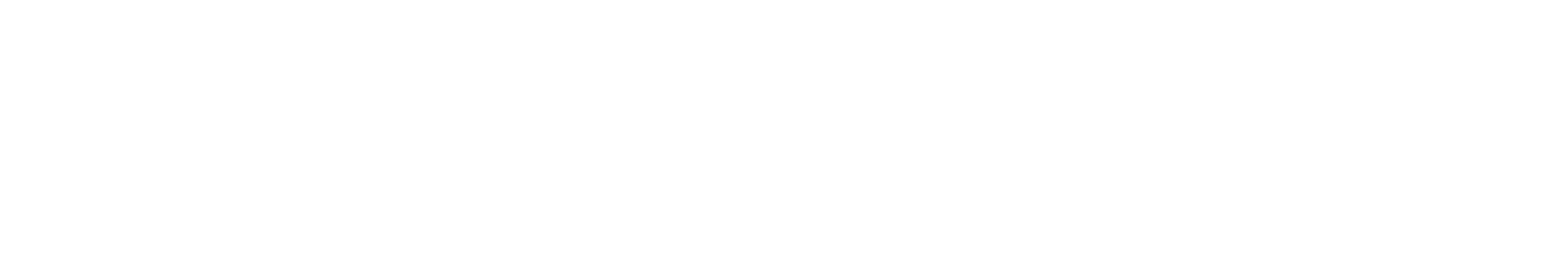 Supplement Solutions