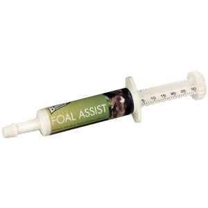 Baileys Foal Assist 30cc Syringe (Equine)