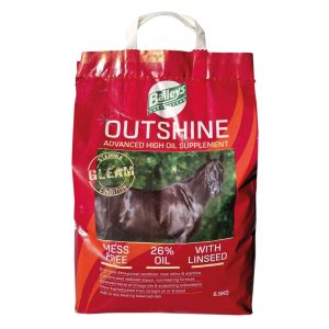 Baileys Outshine (Equine)