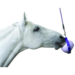 Likit Boredom Buster (Equine)