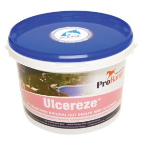 Brinicombe Ulcereze 5.5kg (Equine)- BEST BEFORE 28/01/26 50% OFF