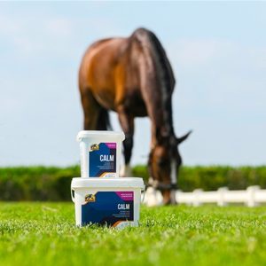 Cavalor Calm (Equine)