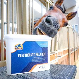 Cavalor Electrolyte Balance (Equine)