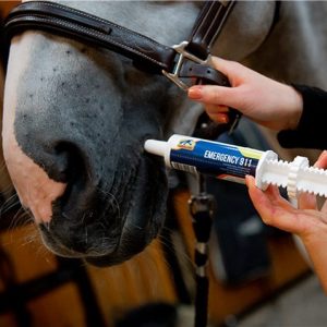 Cavalor Emergency 911 (Equine)
