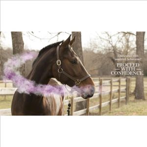 Confidence EQ 5ml Sachets (Equine)