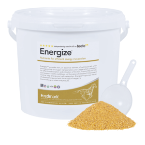 Feedmark Energize (Equine)