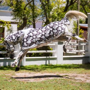 Equilibrium Field Relief Fly Rug (Equine)