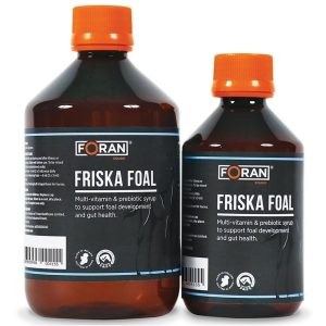 Foran Friska Foal (Equine)
