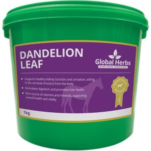 Global Herbs Dandelion Leaf 1kg (Equine)