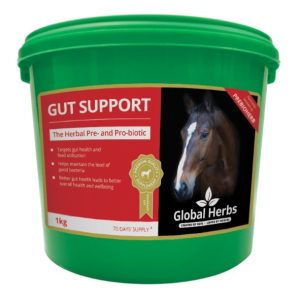 Global Herbs Gut Support (Equine)
