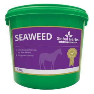 Global Herbs Seaweed (Equine)