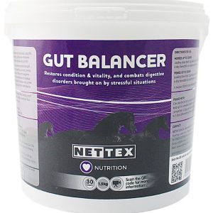Nettex Gut Balancer (Equine)