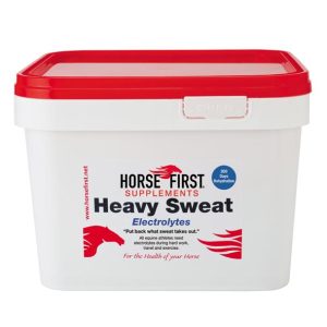 Horse First Heavy Sweat (Equine)
