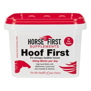 Horse First Hoof First (Equine)