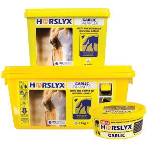 Horslyx Garlic Balancer (Equine)