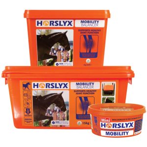 Horslyx Mobility Balancer (Equine)
