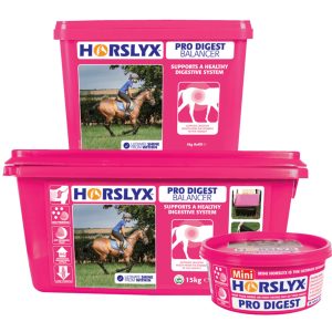 Horslyx Pro Digest Balancer (Equine)