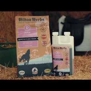 Hilton Herbs DeTox Liquid (Equine)