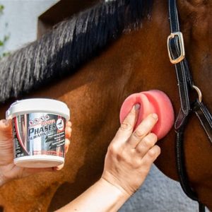 Leovet Power Phaser Durativ 500ml (Equine)