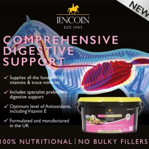 Lincoln All Inclusive Digestive Balancer (Equine)