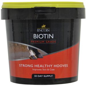 Lincoln Biotin 600g (Equine)