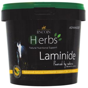 Lincoln Herbs Laminide 600g (Equine)