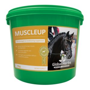 Global Herbs Muscle Up 1kg (Equine)
