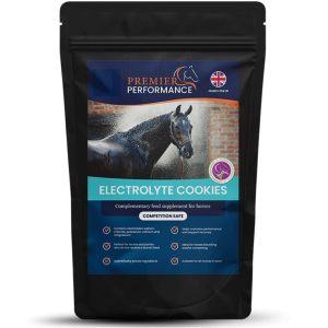 Premier Performance Electrolyte Cookies 10 Pack (Equine)