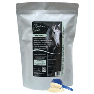 Radiance Gold Ulssa Secret (Equine)