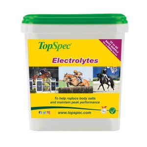 TopSpec Electrolytes (Equine)