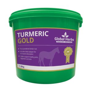 Global Herbs Turmeric Gold (Equine)