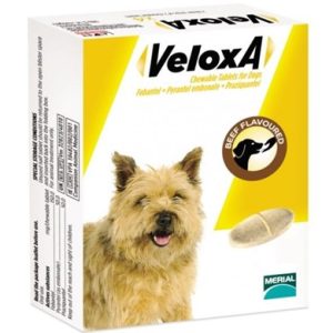 Veloxa Chewable Wormer for Dogs (Sold Individually) (NFA-VPS)