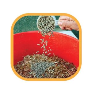 NAF Five Star Optimum Feed Balancer (Equine)