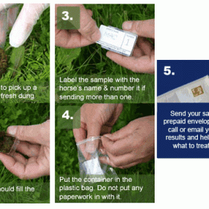 Supplement Solutions & Westgate Labs Worm Count Kit (Equine)